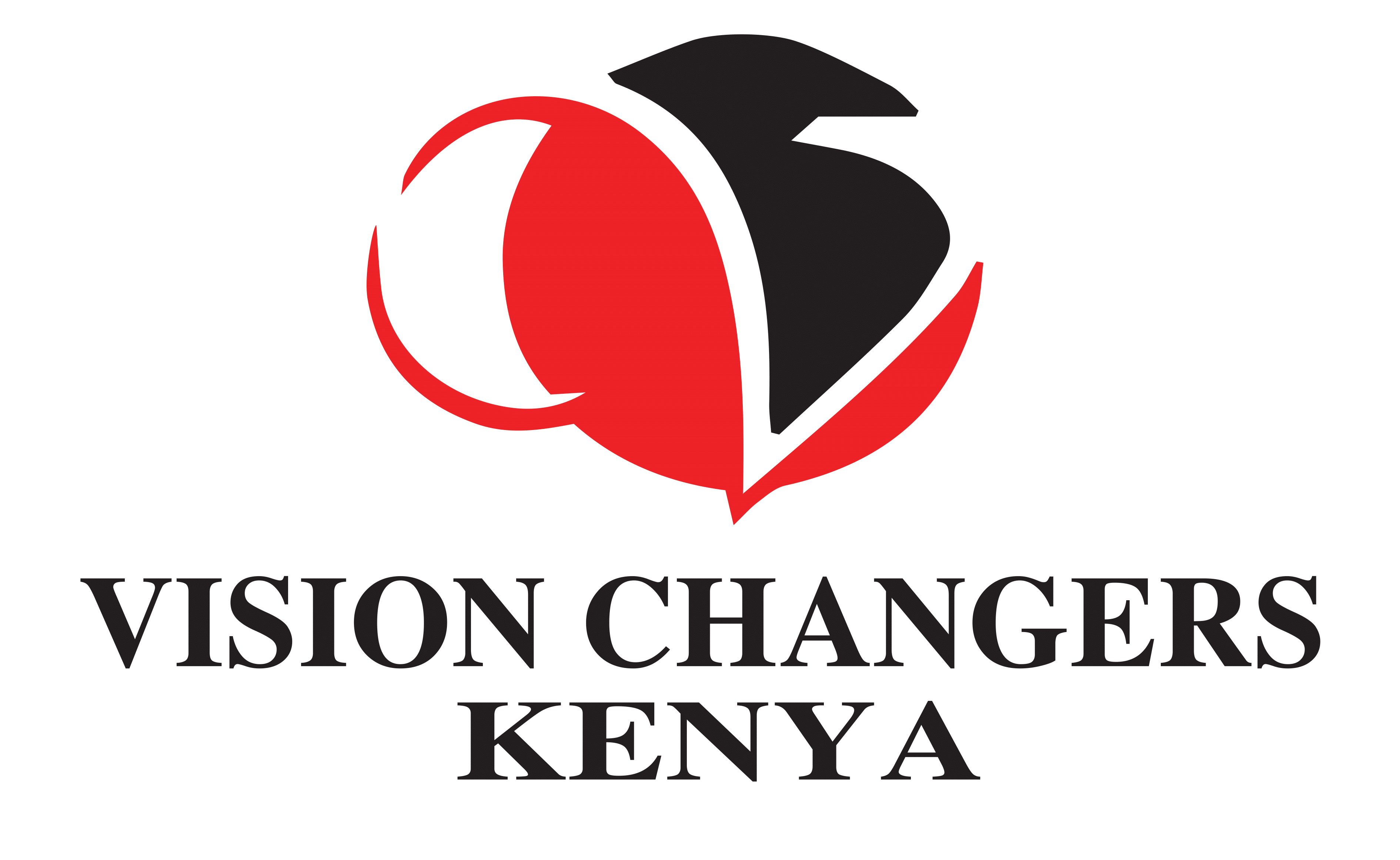 Vision Changers